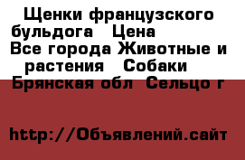 Щенки французского бульдога › Цена ­ 30 000 - Все города Животные и растения » Собаки   . Брянская обл.,Сельцо г.